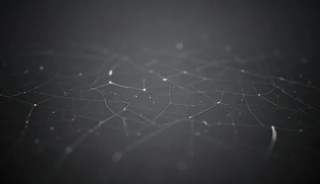 系统稳定性如何保障?性能优化的关键问题